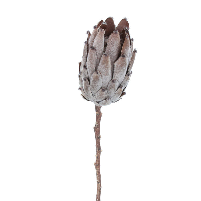 Gisela Graham Antique Brown Protea Stem
