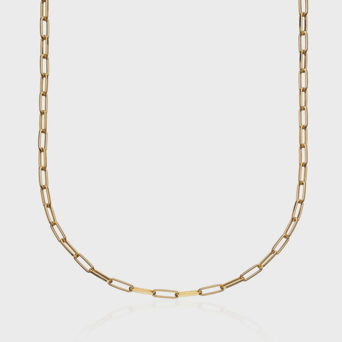 Lily Charmed Box Link Chain Necklace - Gold