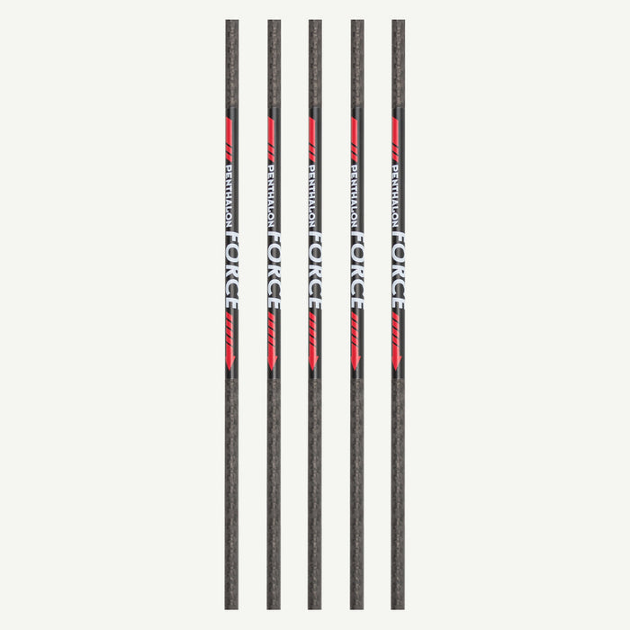 Penthalon Carbonschäfte Force 700
