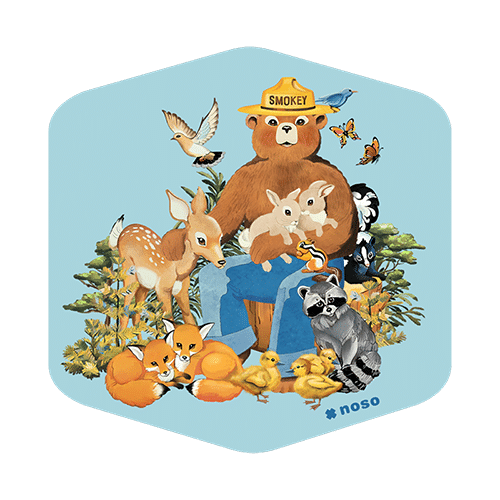 Forager Provisions LTD Smokey Bear Forest Friends x NoSo waterproof repair patch on light blue brushed polyester