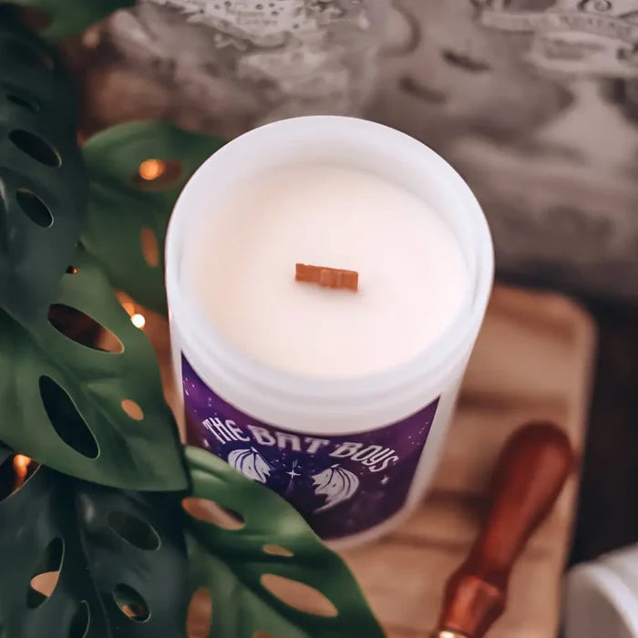 A Court of Thorns and Roses Inspired: Bat Boys Candle 12 OZ Candles
