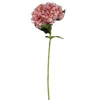 Antique Pink Giant Hydrangea Stem