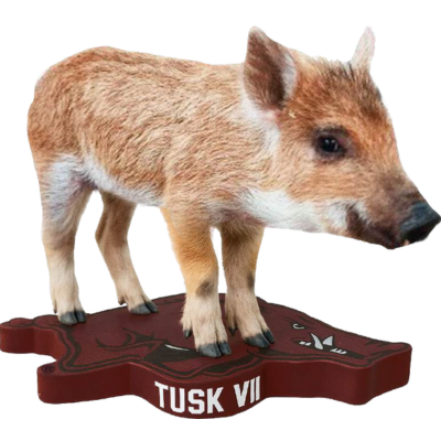 Tusk VII (October 2026 Shipping)