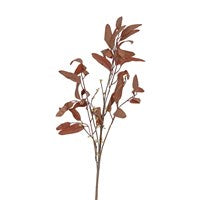 Autumn Leaf Spray With Red Berries