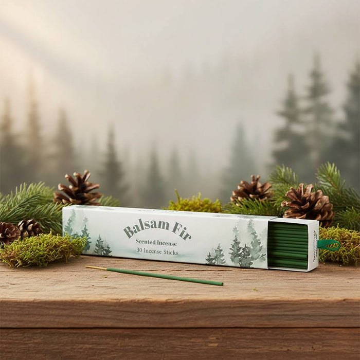 Forager Provisions LTD Balsam Fir incense sticks in a decorative box with pine cones and moss on a wooden table.