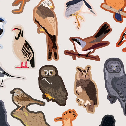 Forager Provisions LTD Birbs and Borbs Series 2 bird stickers featuring various illustrated owl and songbird designs.