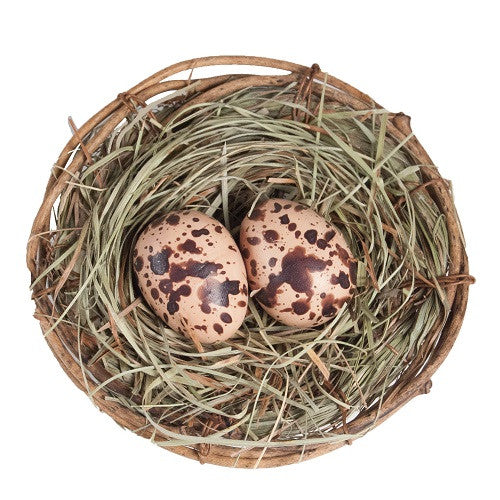Bird's Nest