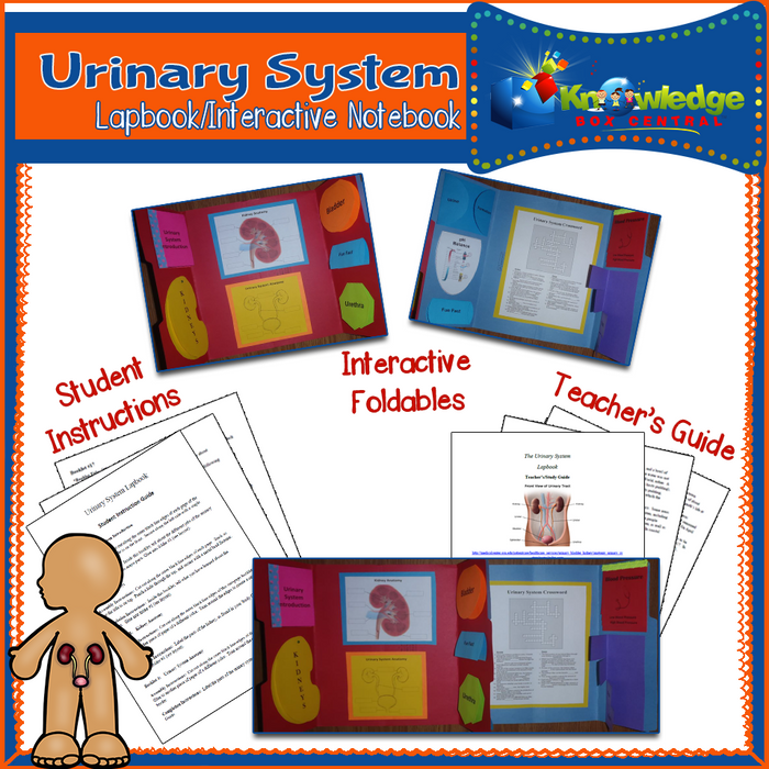 Ebook / Urinary