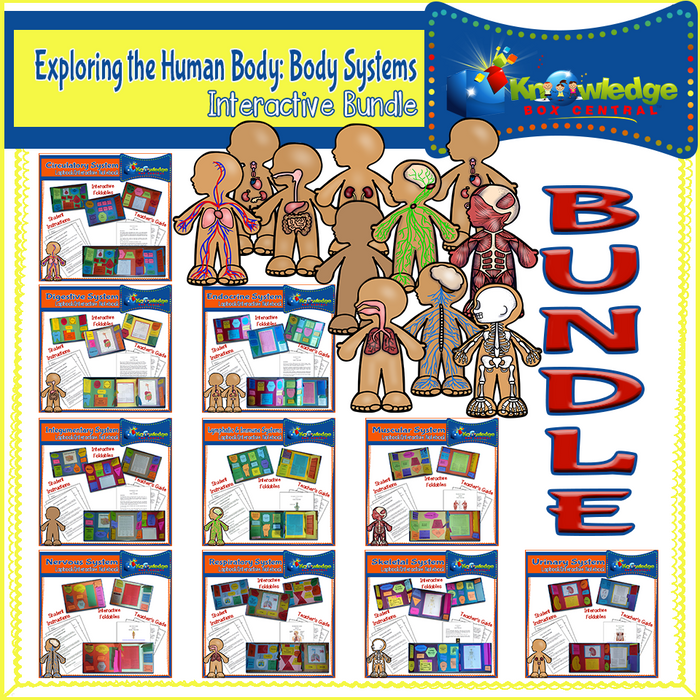 Ebook / Bundle