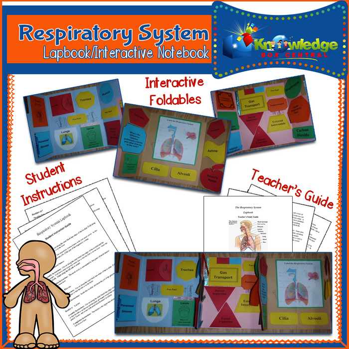 Ebook / Respiratory