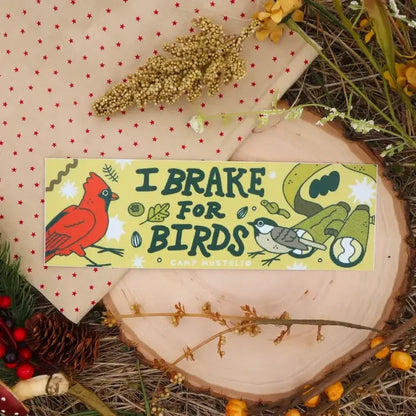 Camp Mustelid “I Brake For Birds” vinyl sticker with colorful birds, leaves & acorns—trendy nature design for Summer 2026.