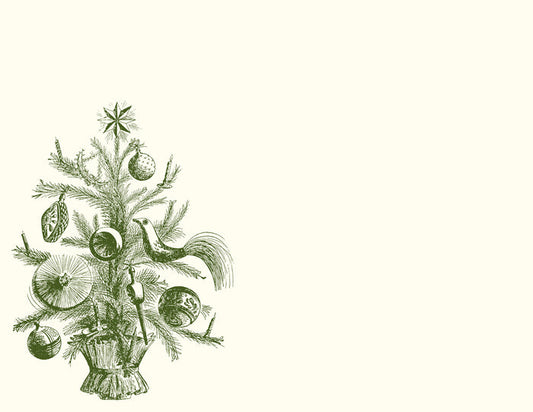 Christmas Bush A2 Notes