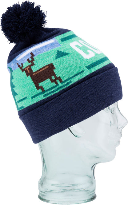 Coal The Downhill Beanie