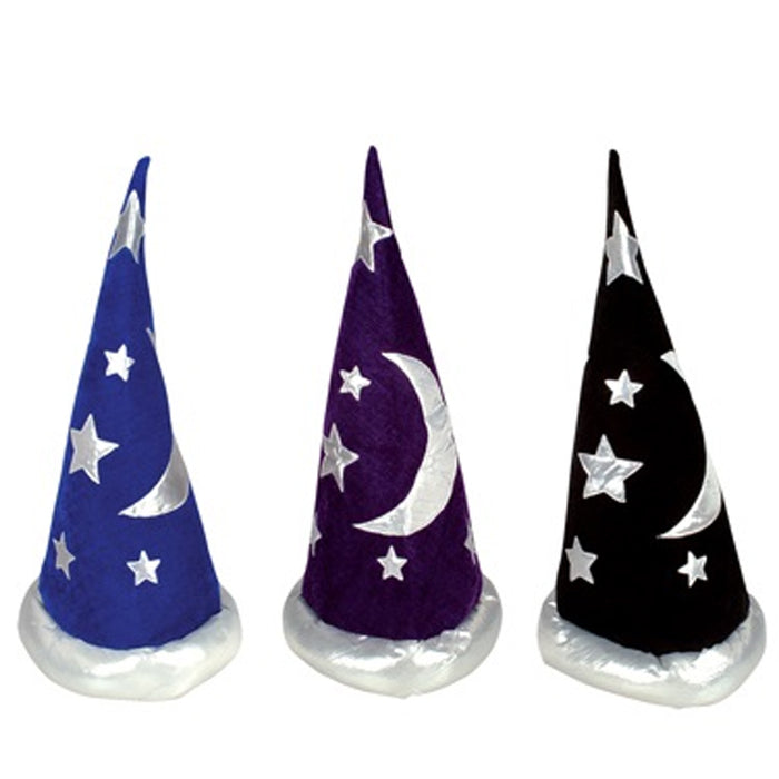 Economy Wizard Hat