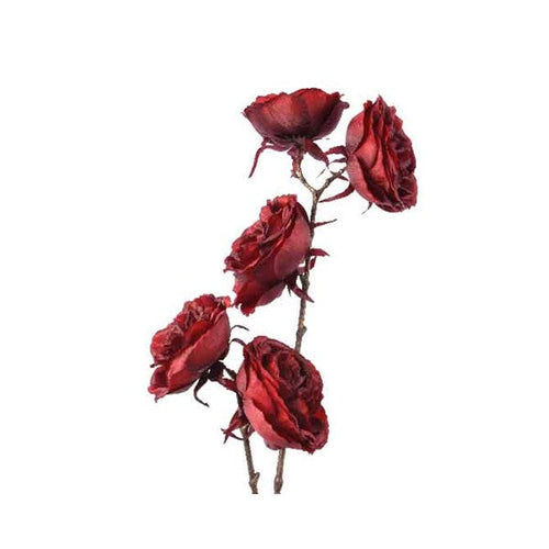 Faux Rose Branch Ox Blood Red