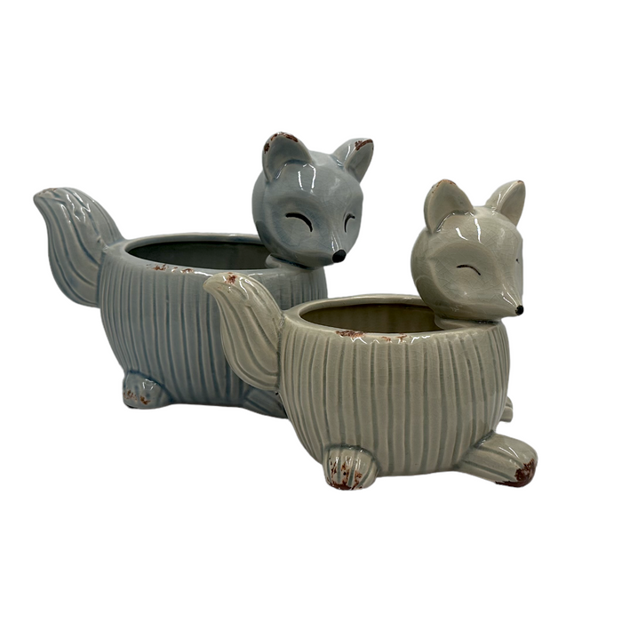 Fox Container Blue and Grey