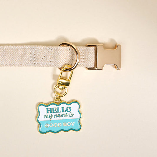 The Darling Effect Good Boy Pawfect Collar Charm adds unique style to your pup’s look with a gold tag that says "HELLO my name is GOOD BOY" in blue and white—perfect for charming pet accessories.