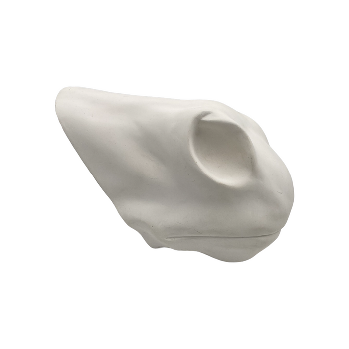 Horse Snout