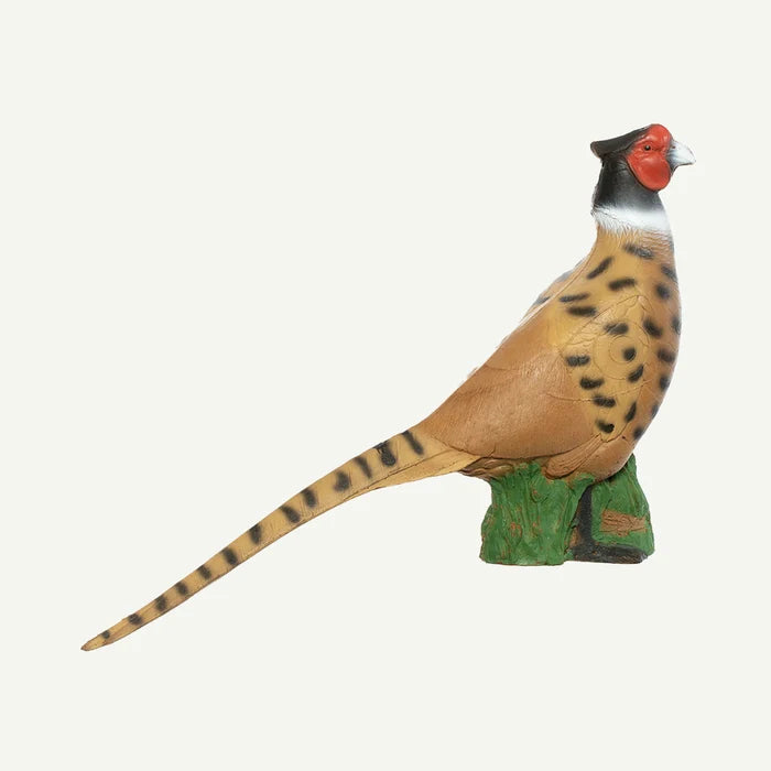 IBB 3D Tier Fasan Edelfasan