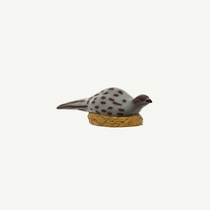 IBB 3D Tier Fasanenhenne, auf einem Nest sitzend