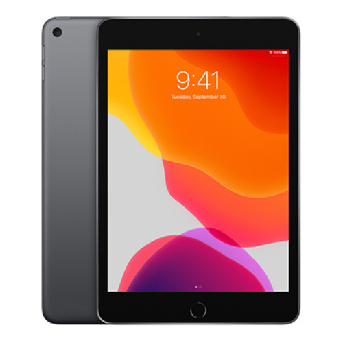 iPad mini (4th Gen, 2015) 64GB - Space Gray (Wi-Fi)