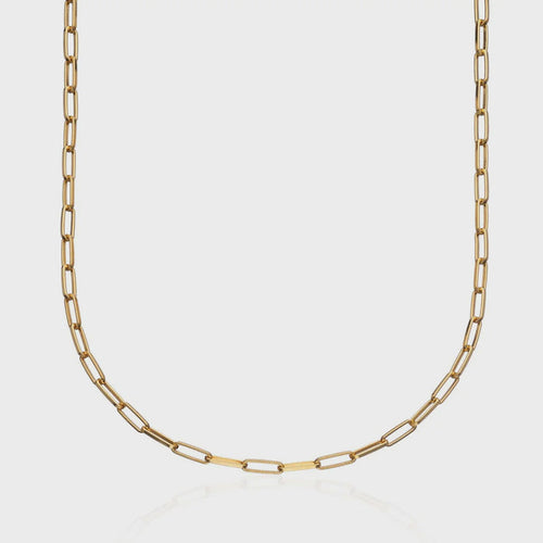 Lily Charmed Box Link Chain Necklace - Gold