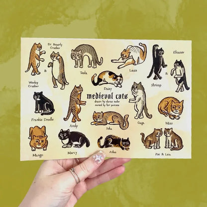 Hand holding Forager Provisions Medieval & Folklore Cat Gift Set box, twelve named cats on yellow backdrop, unique gift idea.