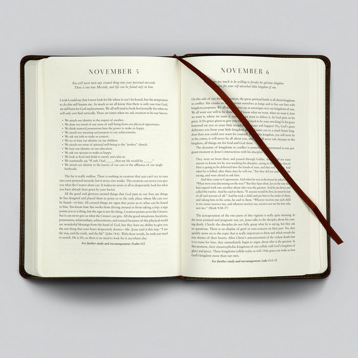 New Morning Mercies Devotional - Paul Tripp - Imitation Leather Edition - TruTone (6)