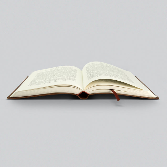 New Morning Mercies Devotional - Paul Tripp - Imitation Leather Edition - TruTone (7)
