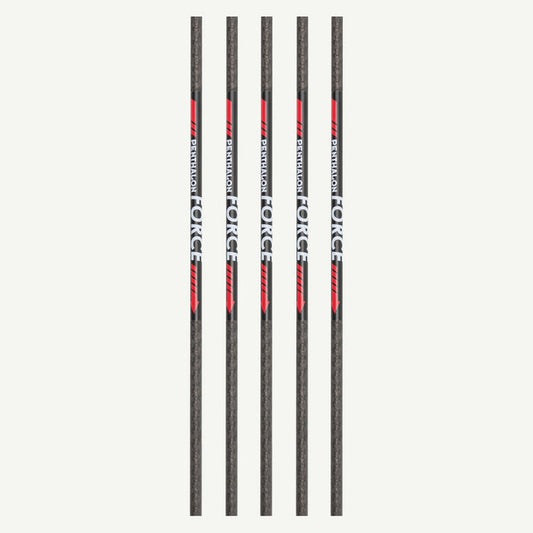 Penthalon Carbonschäfte Force 600