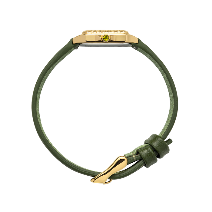 Petite Tortue turtle green