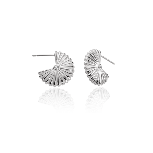 Scallop Ohrstecker Silber