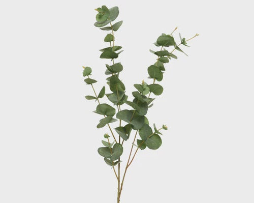 Soft Eucalyptus Spray - 98cm