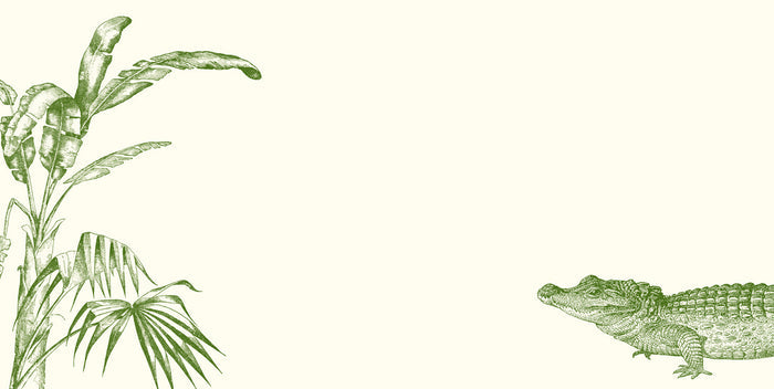 Swampy Gator Monarch Notes