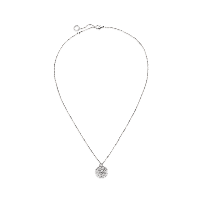 Turtle Coin Halskette Silber