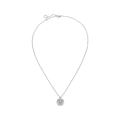 Turtle Coin Halskette Silber