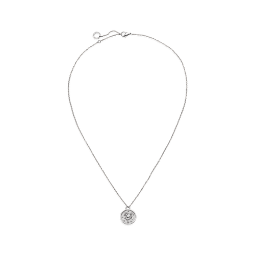 Turtle Coin Halskette Silber