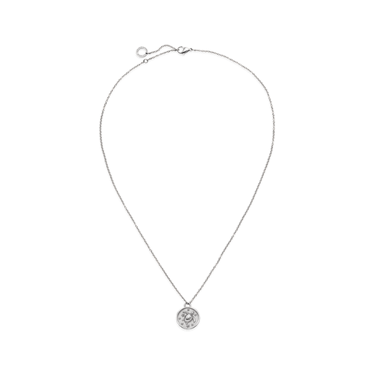 Turtle Coin Halskette Silber