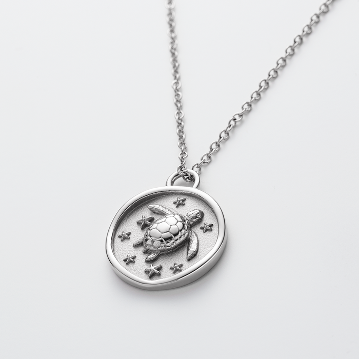 Turtle Coin Halskette Silber