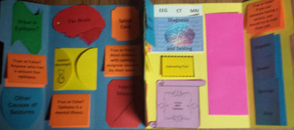 Understanding Epilepsy Lapbook